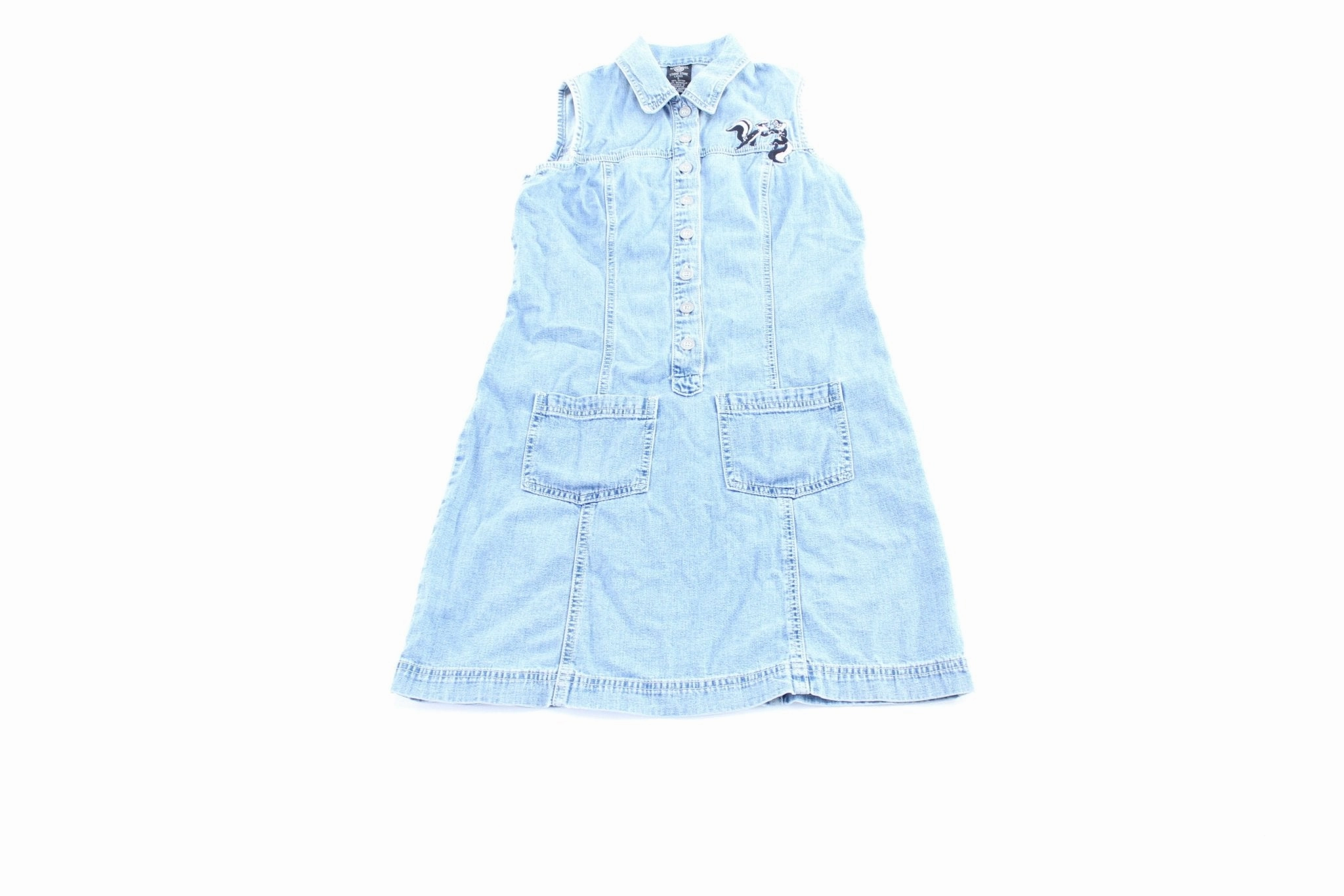 cloudy 1998 Warner Bros Embroidered Denim Skirt