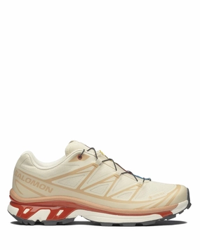 brand - new night - wear shoes XT-6 GTX Almond Milk/Soft Clay/Burnt Ochre L47865200